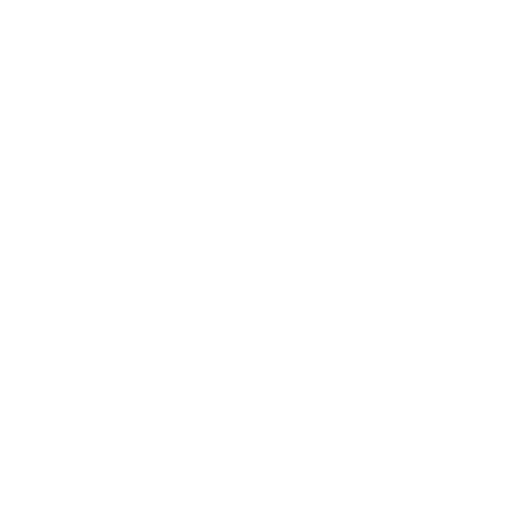 Logo Hospital Santa Virgínia