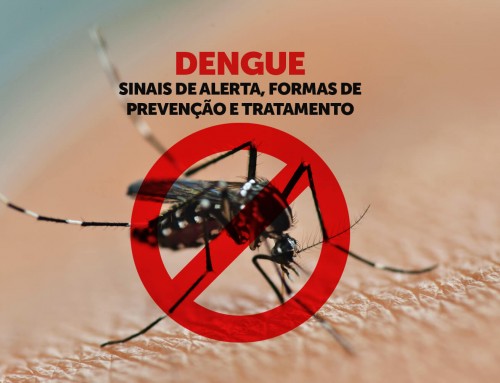 Dengue: sinais de alerta, formas de prevenção e tratamento