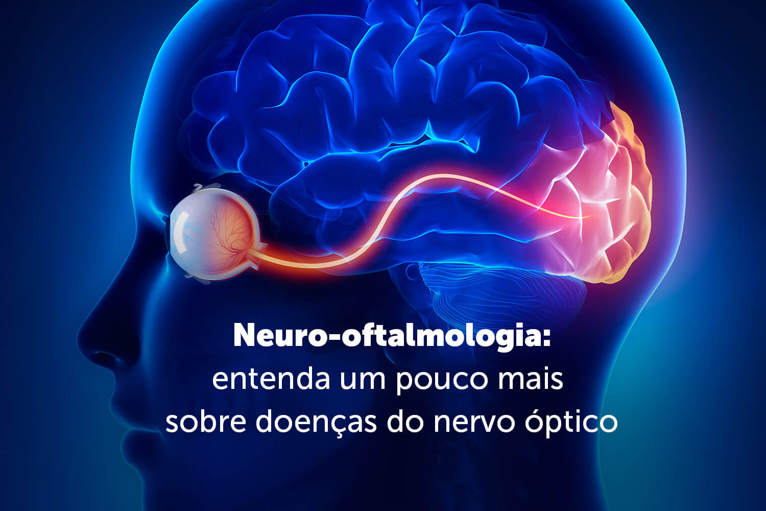 Neuro-oftalmologia